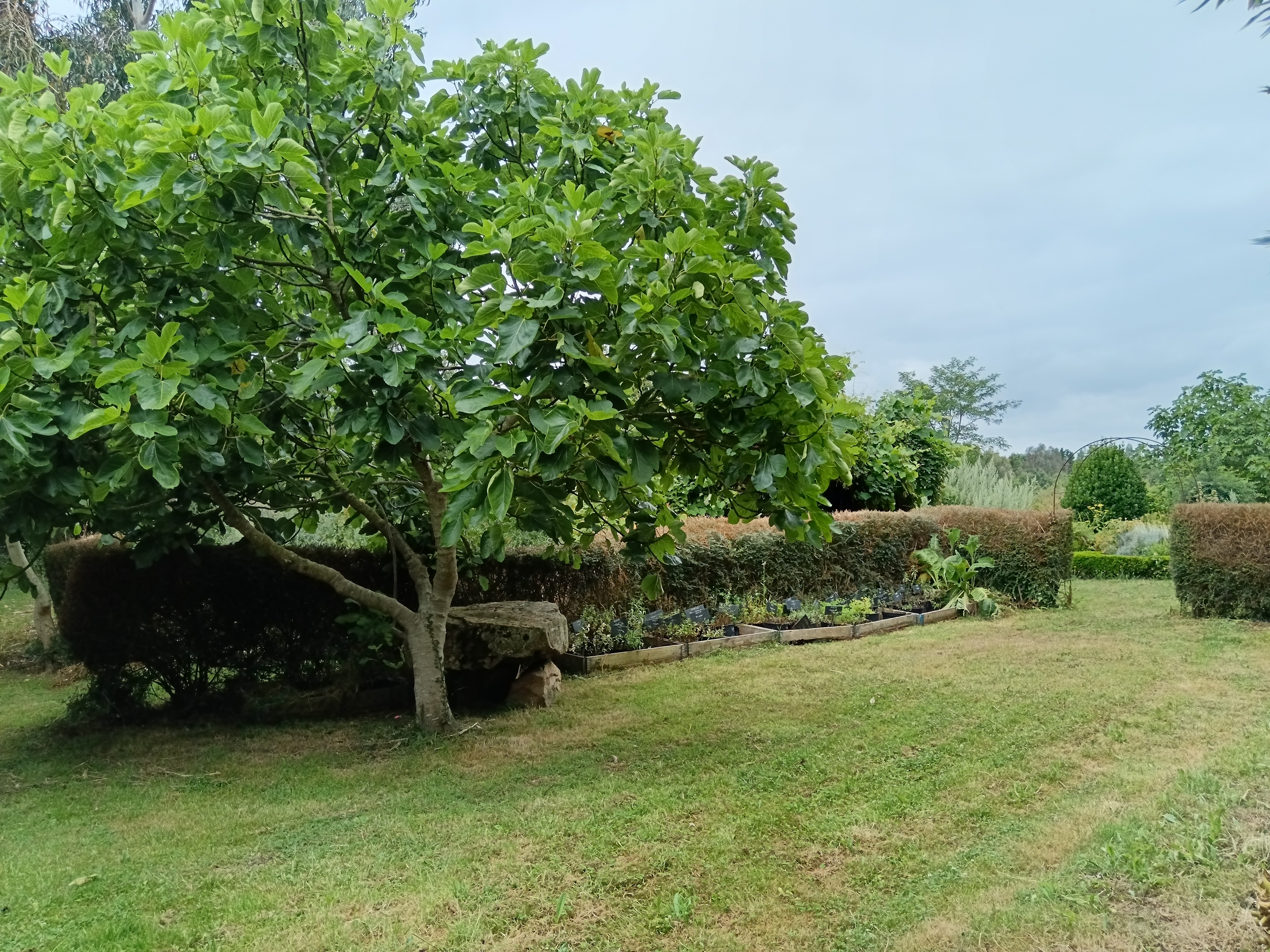 Emplacement camping à Herbarius
